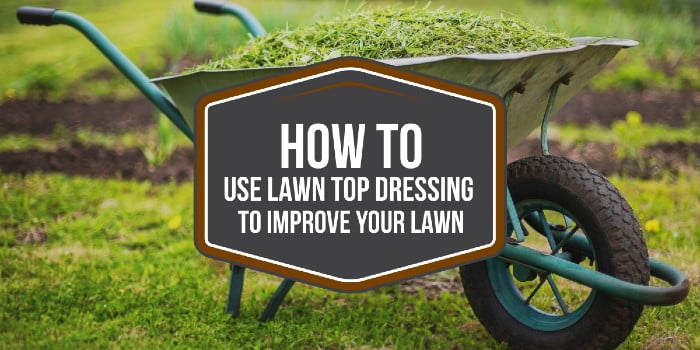 How to use lawn top dressing to improve your lawn