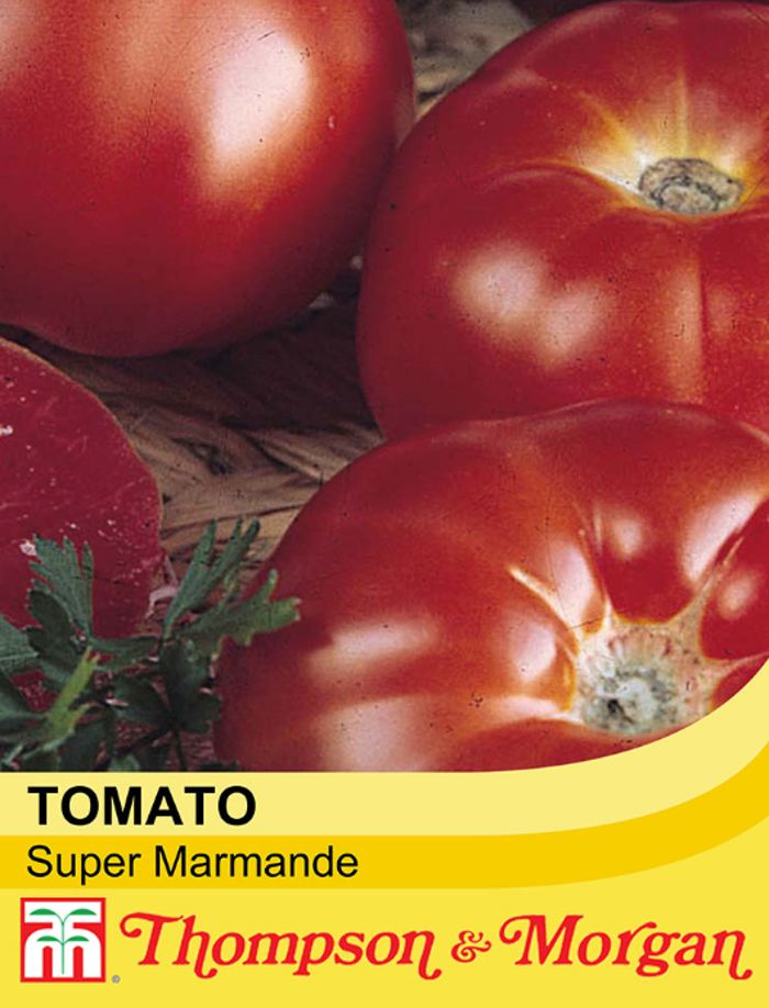 Super Marmande Tomato seeds from Thompson & Morgan