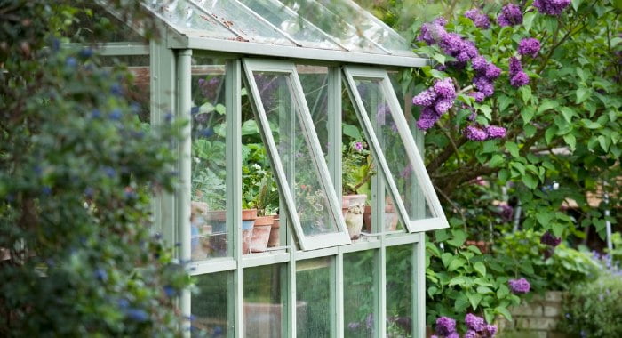 greenhouse with open windows