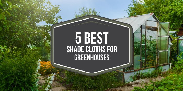 5 Best Shade Cloths For Greenhouses