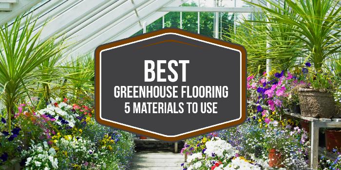 Best Greenhouse Flooring - 5 Materials To Use