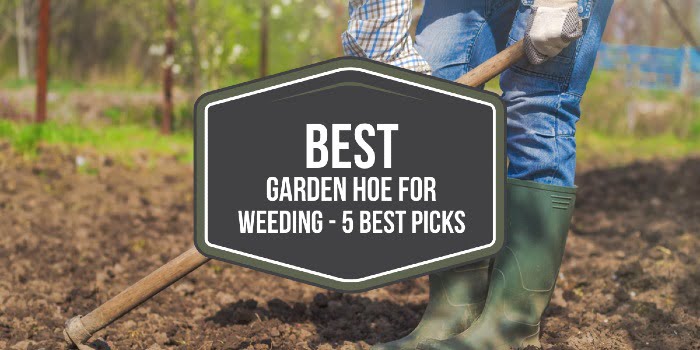 Best Garden Hoe For Weeding - 5 Best Picks