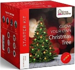 grow your own christmas tree kit