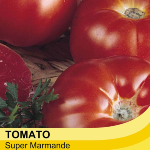 Super Marmande Tomato