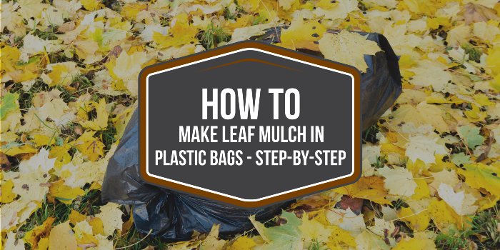 How To Make Leaf Mulch In Plastic Bags - Step-By-Step Guide